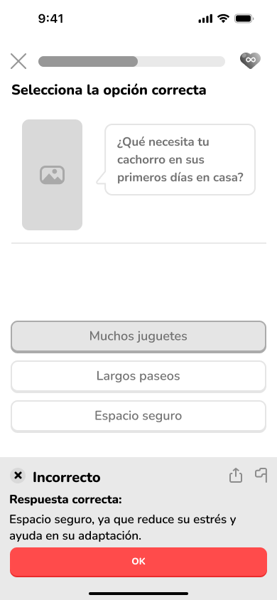 Pantalla de quiz: ejercicio de opción múltiple sobre el cuidado del cachorro