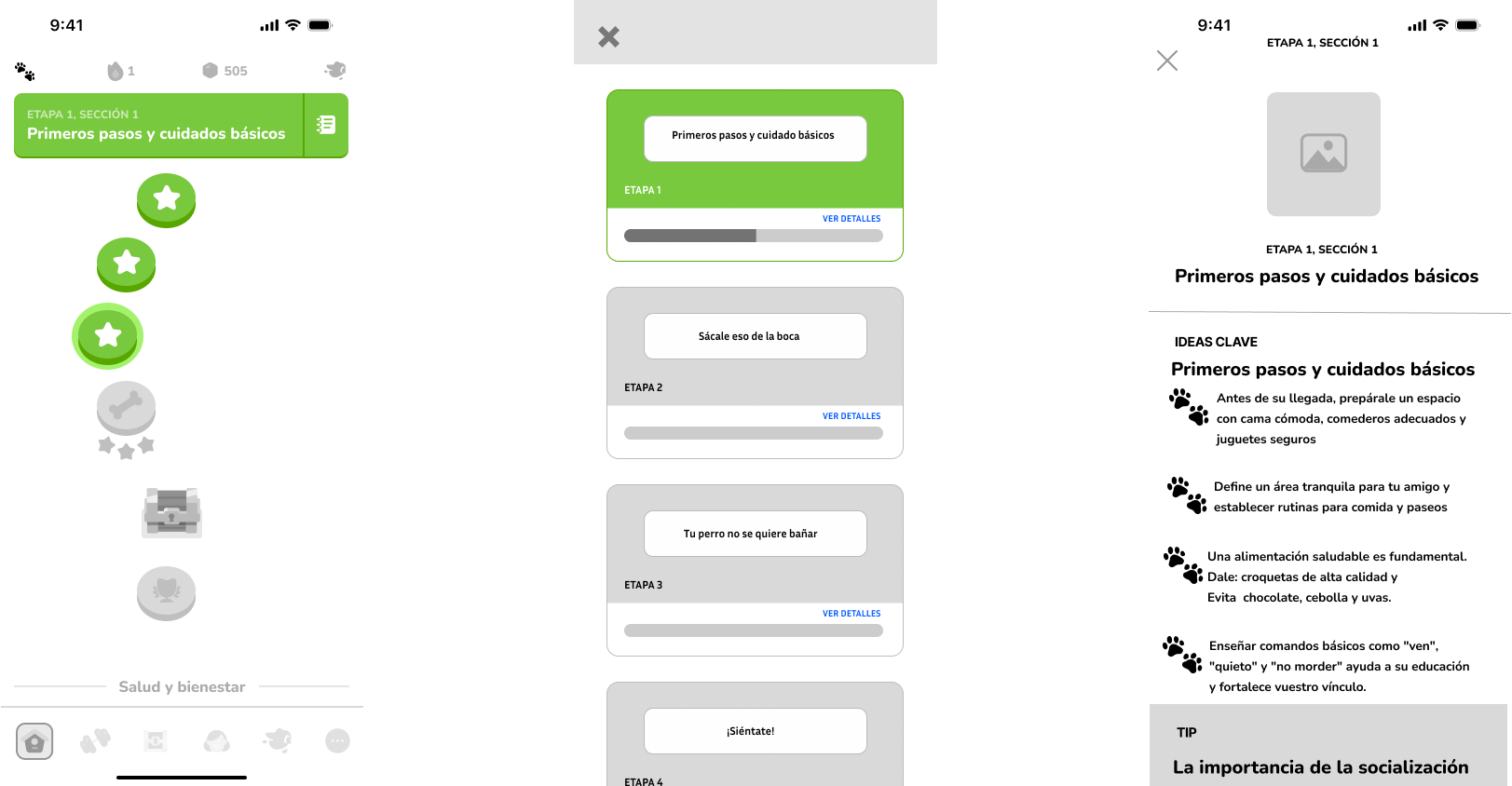 User flow camino de aprendizaje