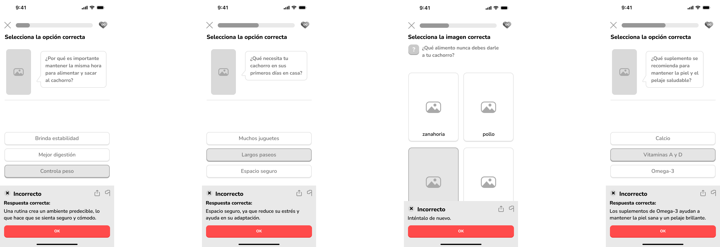 User flow respuesta incorrecta